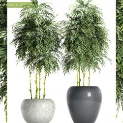 bamboo plant 3D model