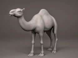 Camel 3D print model