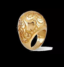 Carrera y carrera  Ring 3D print model