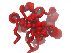 Cytochrome c