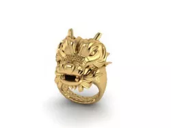 dragon 3D print model