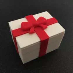Giftwrapped Ring Box 3D print model