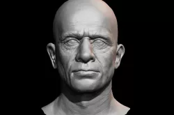 High detailed mid age man face with UV and low poly 3D model