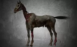 Horse - C4 3D model