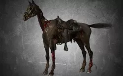 Horse - C5 3D model