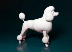 Lion-haired poodle 3D print model