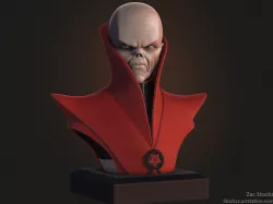 Mage Bust - 3D Print 3D print model