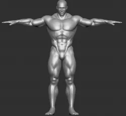 Male Template Muscle Buff Superhero Body 3D model