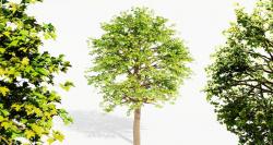 inanchor mid poly tree prefer stories 3D Models | Page 1 | STLFinder