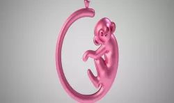 Monkey Pendant 3D print model