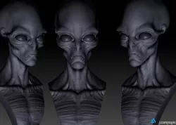 Orion Grey Alien Bust 3D print model