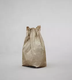 Paper Bag 3D model