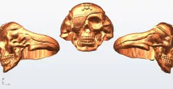 Pirate skull ring 3D print model