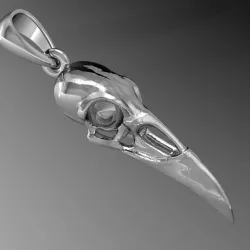 raven skull            3D print model