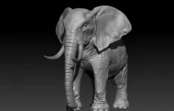 Realistic Elephant Hi-Rez with realistic skin  3D model