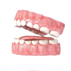 Realistic Mouth teeth Low-poly  3D model
