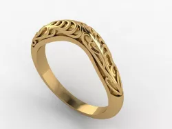 Ring  akr 10 3D print model