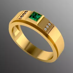 Ring  akr 13 3D print model