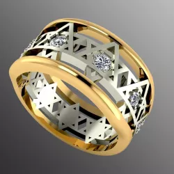 Ring akr 14 3D print model