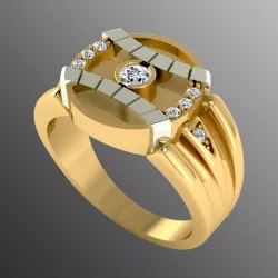 Ring akr 17 3D print model