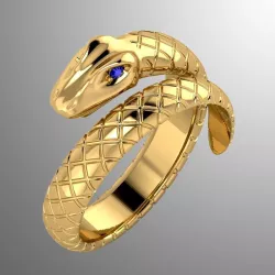 Ring akr 2 3D print model