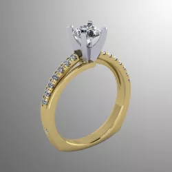Ring akr 3 3D print model