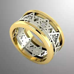 Ring akr 7 3D print model