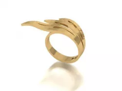 ring wing design 3D print model