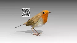 Robin Low-poly  3D model