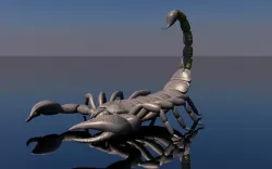 Scorpion 3D model