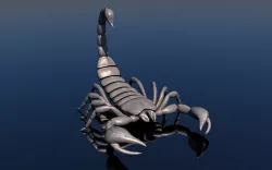 Scorpion 3D model