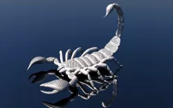 Scorpion 3D model