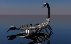 Scorpion 3D model