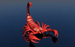 Scorpion 3D model