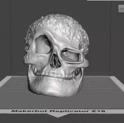 SKULL 3D print model