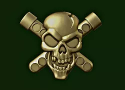 Skull biohazard onlay 3D print model