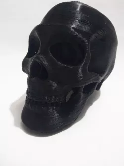 Skull Herb Grinder 3D print model