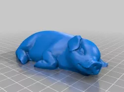 Sleeping Pig