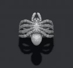 Spider ring 3D print model