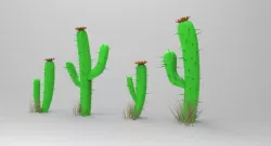 Toon Cactus 3D model