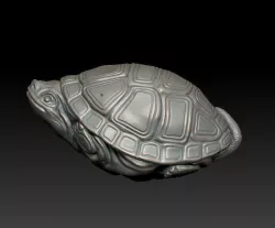 tortoise 3D print model