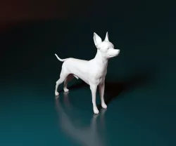 Toy terrier 3D print model