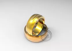 Wedding rings for bride and groom  3D print model