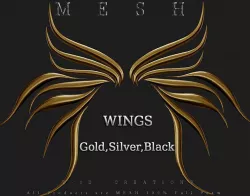 Wings 06 Low-poly  3D model