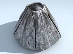 Adult Barnacle Balanus Low-poly  3D model