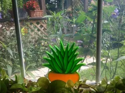 Agave Project