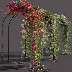 Arch pergola with roses 3D model