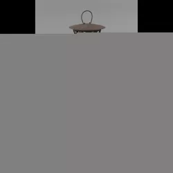 Archaic Rusted Lantern 3D model