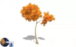 autumn tree lowpoly 3d model  Low-poly  3D model