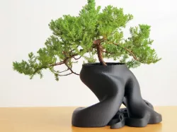 Bonsai Planter (New HD Model with over 1,100,000 Triangles)